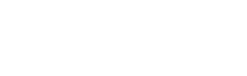 Mohamed BizDev